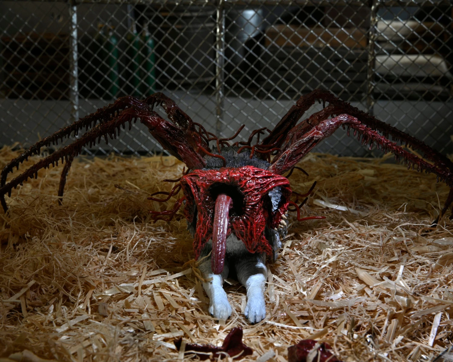 NECA The Thing Dog Creature Ultimate Deluxe 7" Scale Action Figure 10 NECA The Thing Dog Creature Ultimate Deluxe 7" Scale Action Figure - Image 8