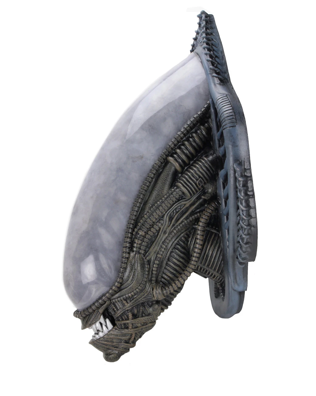 NECA Alien Xenomorph Foam Replica Wall Mounted Bust 8 NECA Alien Xenomorph Foam Replica Wall Mounted Bust - Image 6