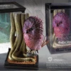 Wizarding World Collection : Magical Creatures – Fwooper