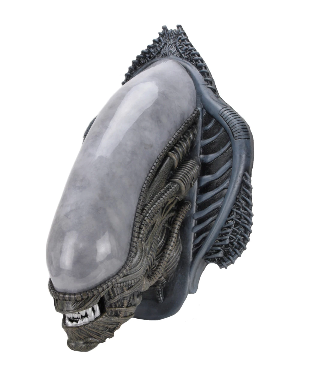 NECA Alien Xenomorph Foam Replica Wall Mounted Bust 3 NECA Alien Xenomorph Foam Replica Wall Mounted Bust