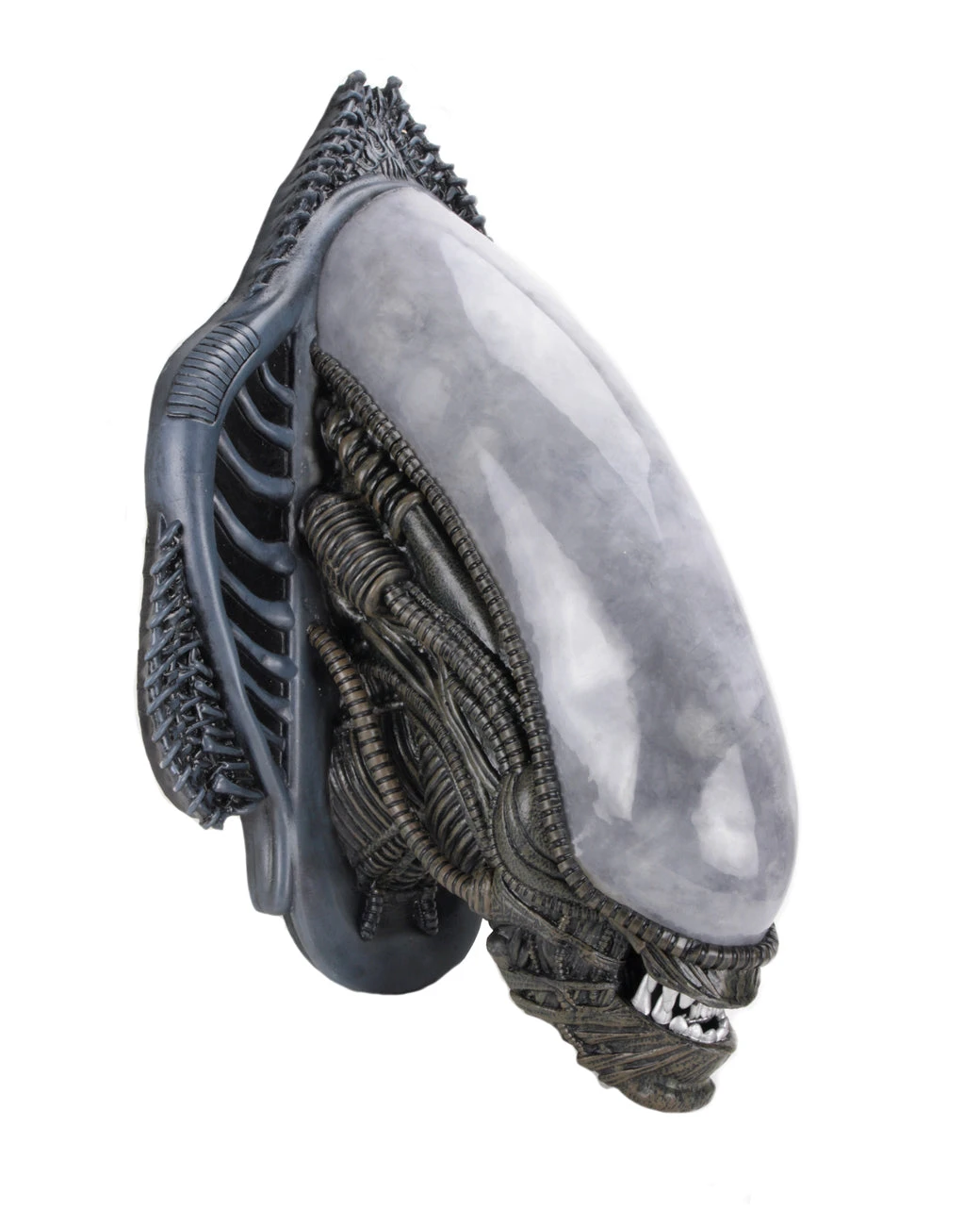 NECA Alien Xenomorph Foam Replica Wall Mounted Bust 5 NECA Alien Xenomorph Foam Replica Wall Mounted Bust - Image 3