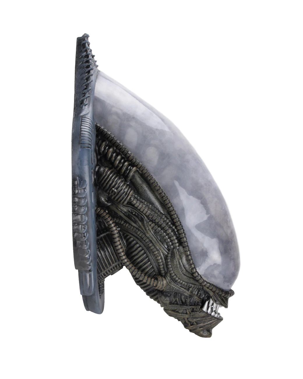 NECA Alien Xenomorph Foam Replica Wall Mounted Bust 6 NECA Alien Xenomorph Foam Replica Wall Mounted Bust - Image 4