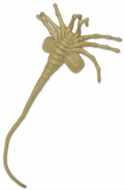 NECA Aliens Facehugger Life-Size Foam Prop Replica -Toy Sale Store Screenshot2023 03 01at8.00.31pm