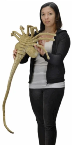 NECA Aliens Facehugger Life-Size Foam Prop Replica -Toy Sale Store Screenshot2023 03 01at8.00.47pm