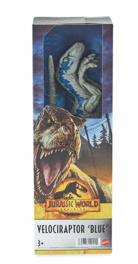 Jurassic World 12" Blue Velociraptor Action Figure 4 Jurassic World 12" Blue Velociraptor Action Figure - Image 2