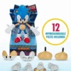 Sonic The Hedgehog 30th Anniversary Sonic 6" Collectors Edition Figure *Exclusive